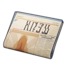 Newspaper