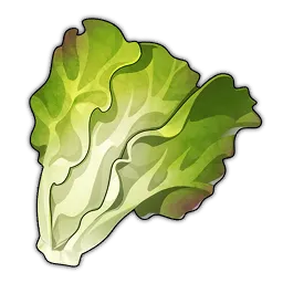 Lettuce