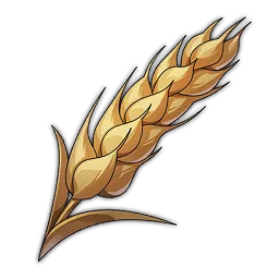 Wheat