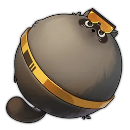 Balloon Furbo