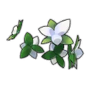 Flower Crown