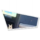 Peppy (II)