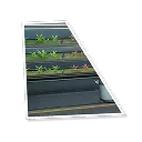 Lifeform Oven (I)