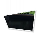 Door to A New World (III)