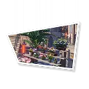 Eversummer Florist (III)